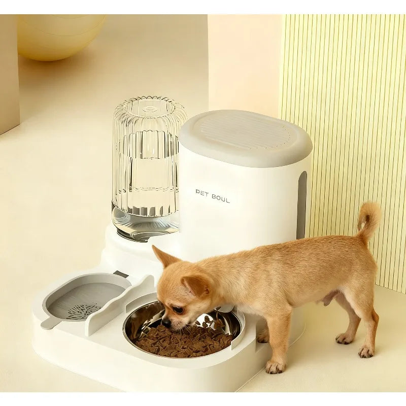 Dog eating from a pet bowl with a water dispenser in the background