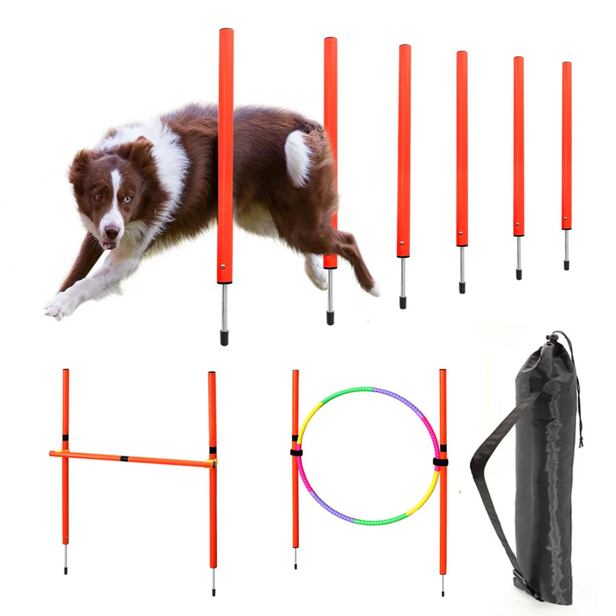 Dog agility equipment set with poles, hoop, and carrying bag on a white background
