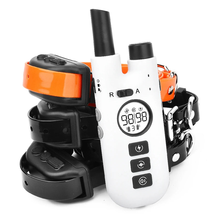 Dog training collar with remote control on a white background