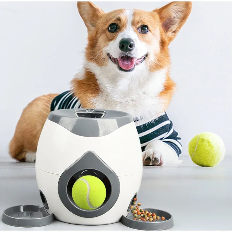 Dog with a toy dispenser and tennis ball on a light background
