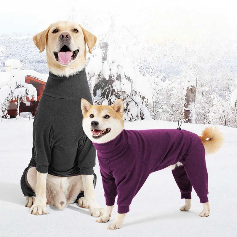 Two dogs wearing winter outfits standing in a snowy landscape.