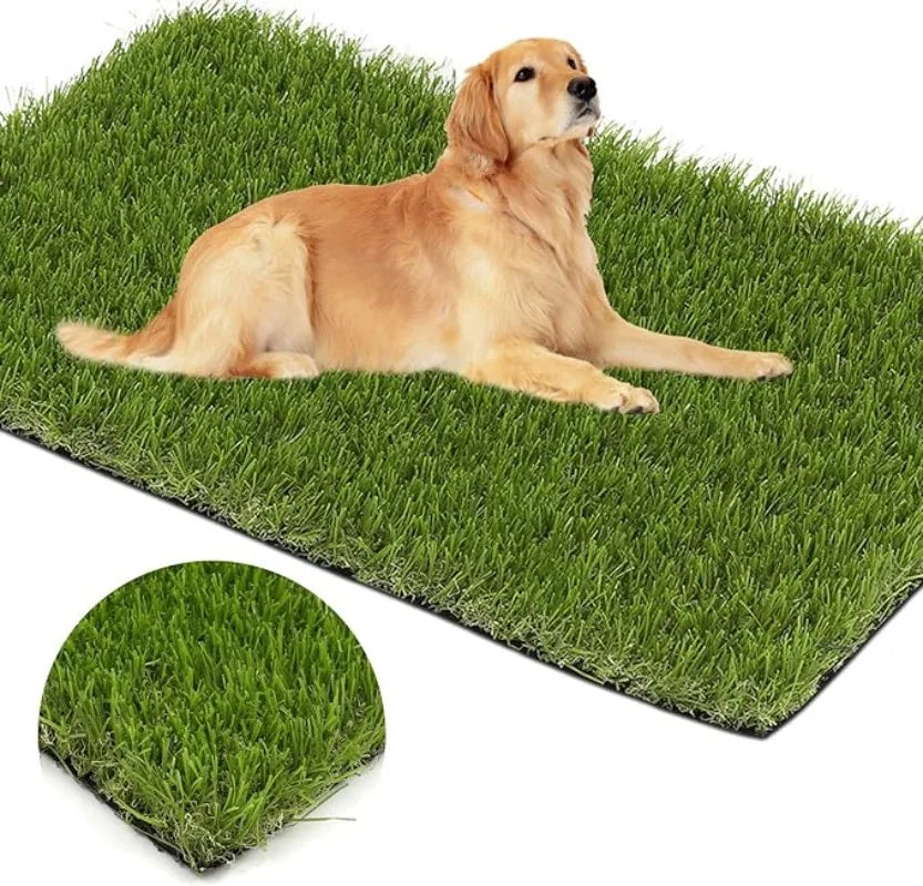 Dog lying on a synthetic grass mat with a close-up of the grass texture.