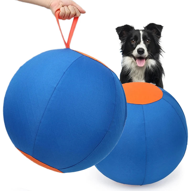 Blue and orange exercise ball with a dog inside, held by a person.