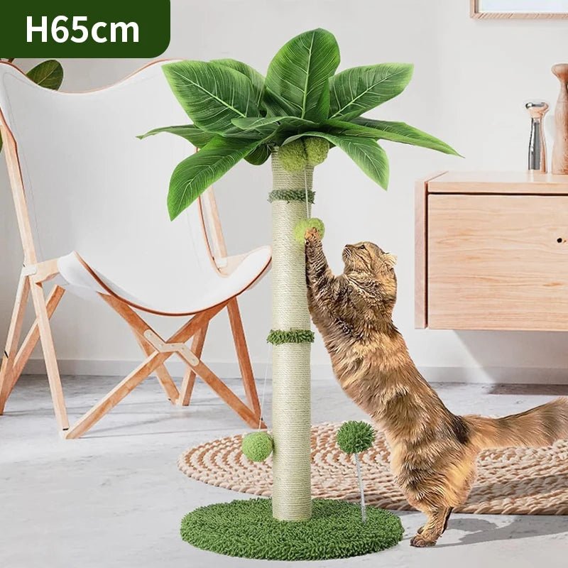 Cat Scratching Pos for Cats 65cm Tall Scratch Tree Dangling Balls and Spring Ball Toys - Pets Lovers supplie