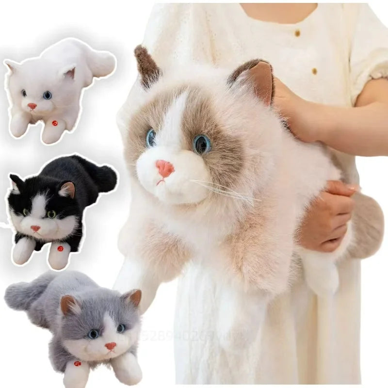 Person holding a large plush cat toy with four smaller plush cats displayed on the left.