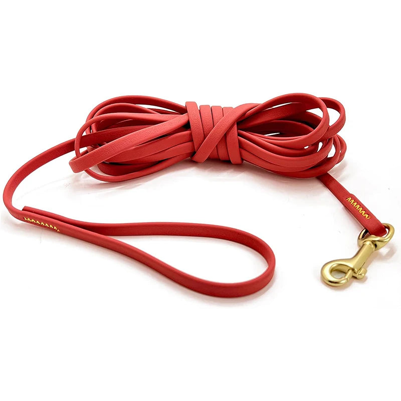 Red dog leash with a gold clip on a white background