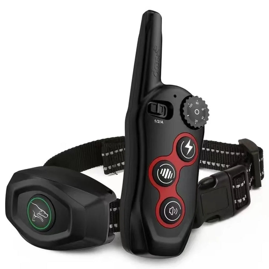 Dog training collar with remote control on a white background