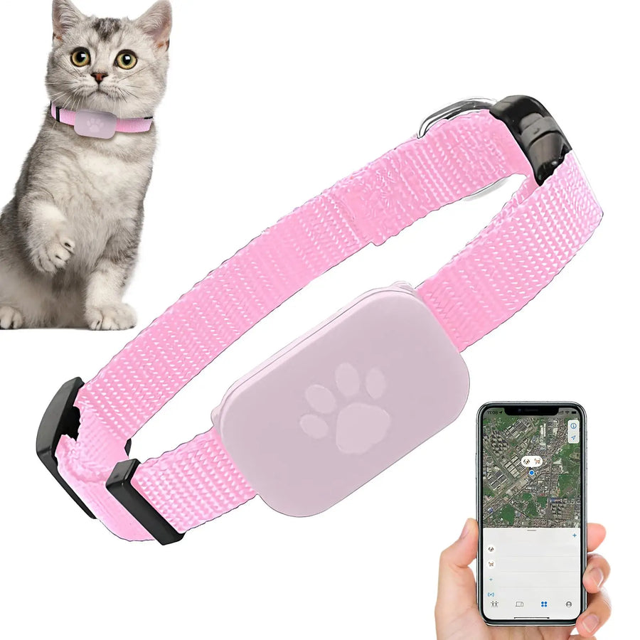 Pink pet collar with a device and a smartphone displaying a map, next to a cat.