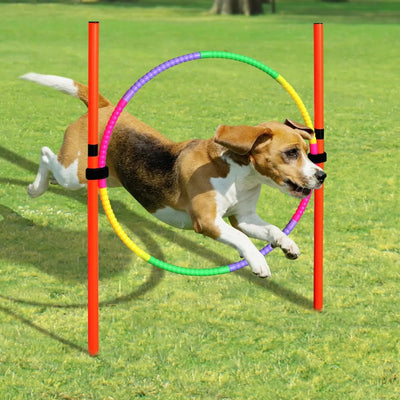 Dog Agility Equipment Portable Pet Training Equipments Dogs Jumping Training Tool - Pets Lovers supplie