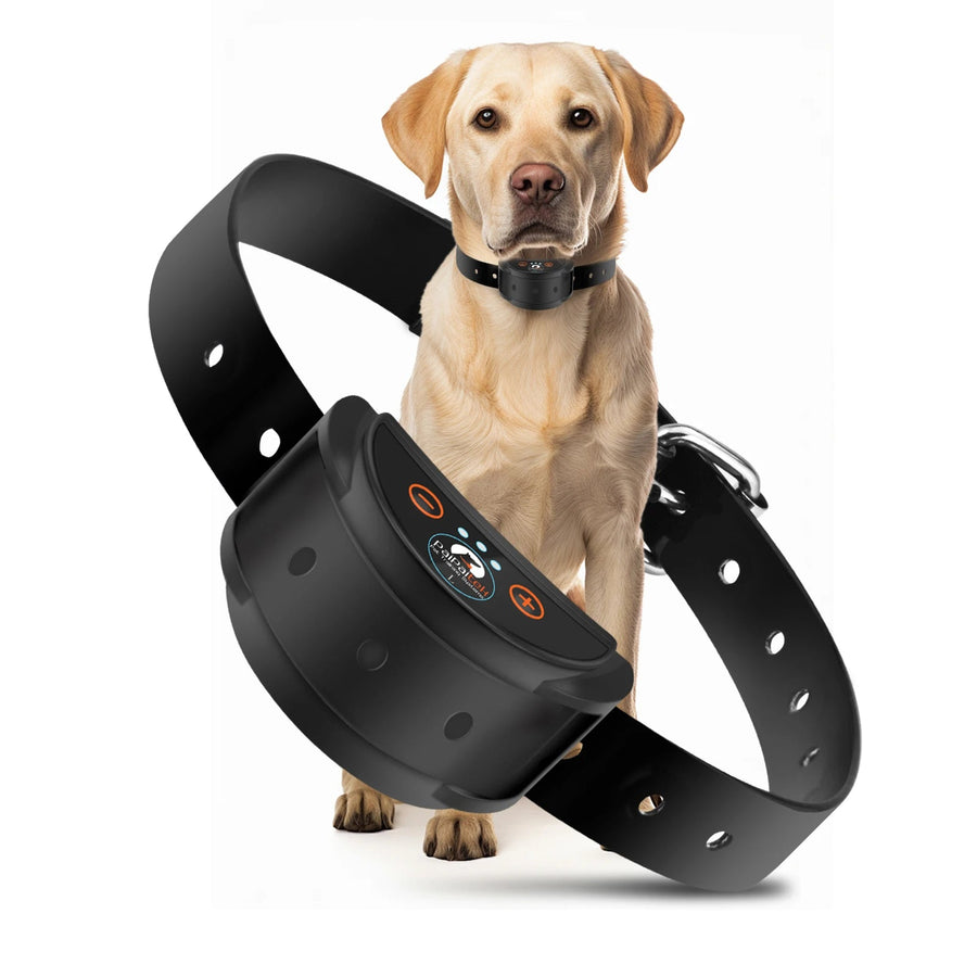 Dog Anti - Bark Collar for Large Dogs , Static Shock & Vibration Training Collar - Pets Lovers supplie