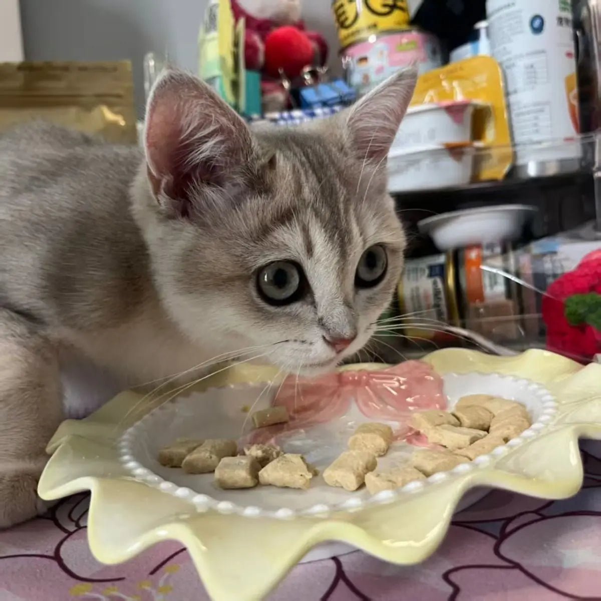 Love Cat Bowls Large Caliber Ceramic Bowl Pets Cute Puppies Kittens Pets Cat Accessories Gifts - Pets Lovers supplie