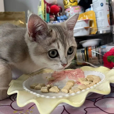 Love Cat Bowls Large Caliber Ceramic Bowl Pets Cute Puppies Kittens Pets Cat Accessories Gifts - Pets Lovers supplie