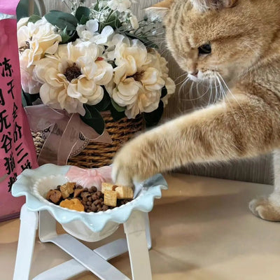 Love Cat Bowls Large Caliber Ceramic Bowl Pets Cute Puppies Kittens Pets Cat Accessories Gifts - Pets Lovers supplie