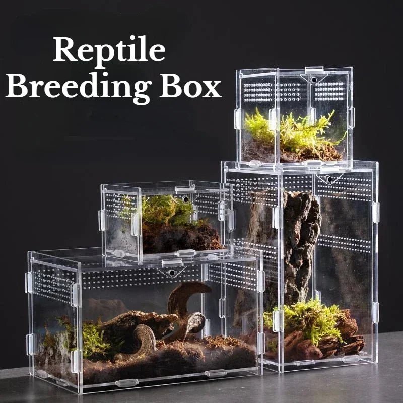 Reptile Feeding Box Acrylic Display Receptacle 95% High Light Transmission - Pets Lovers supplie