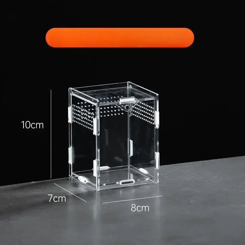 Reptile Feeding Box Acrylic Display Receptacle 95% High Light Transmission - Pets Lovers supplie
